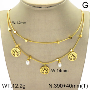 2N3001431bhia-377  Stainless Steel Necklace