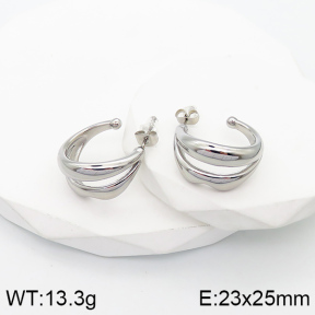 5E2003368vbpb-066  Stainless Steel Earrings  Handmade Polished