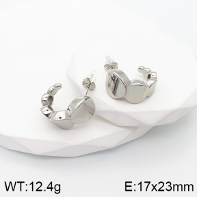 5E2003413vbpb-066  Stainless Steel Earrings  Handmade Polished