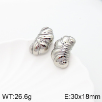 5E2003418bhva-066  Stainless Steel Earrings  Handmade Polished