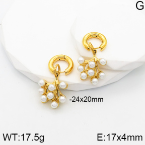 5E3001358bhia-066  Stainless Steel Earrings  Plastic Imitation Pearls,Handmade Polished