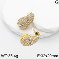 5E4002740vhkb-066  Stainless Steel Earrings  Czech Stones,Handmade Polished