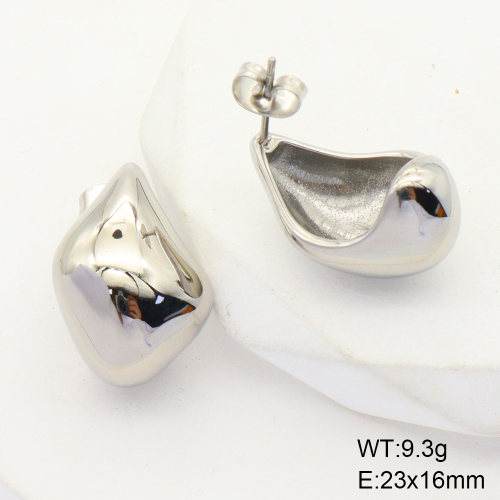 6E2006461vbpb-066  Stainless Steel Earrings  Handmade Polished