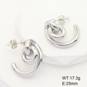 6E2006463bhva-066  Stainless Steel Earrings  Handmade Polished