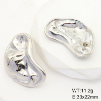 6E2006516bhva-066  Stainless Steel Earrings  Handmade Polished