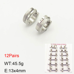2E2002963akia-387  Stainless Steel Earrings