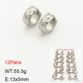 2E2002967akia-387  Stainless Steel Earrings