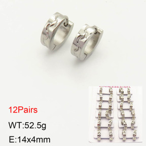 2E2002968akia-387  Stainless Steel Earrings