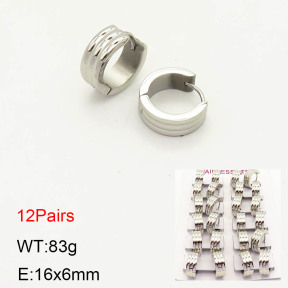2E2002977akoa-387  Stainless Steel Earrings