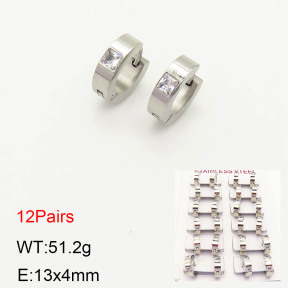 2E4002915akoa-387  Stainless Steel Earrings