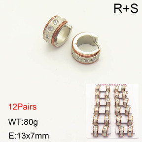 2E4002920bnib-387  Stainless Steel Earrings