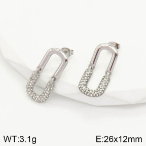 2E4002913bbov-434  Stainless Steel Earrings