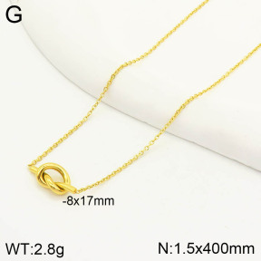 2N2003637vbnl-669  Stainless Steel Necklace