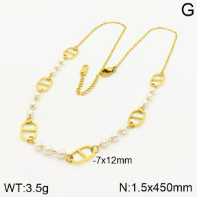 2N3001441vhha-669  Stainless Steel Necklace