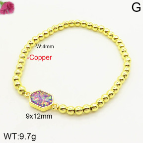 F2B401652bhva-J128  Fashion Copper Bracelet