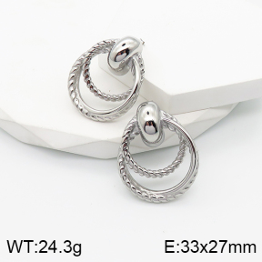 5E2003485bhva-259  Stainless Steel Earrings