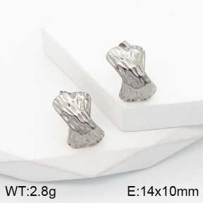 5E2003489vbmb-259  Stainless Steel Earrings