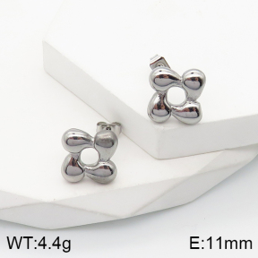 5E2003491vbmb-259  Stainless Steel Earrings