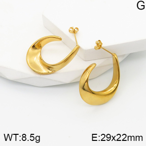 5E2003494bhva-259  Stainless Steel Earrings