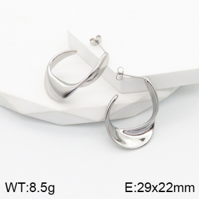5E2003495bbov-259  Stainless Steel Earrings