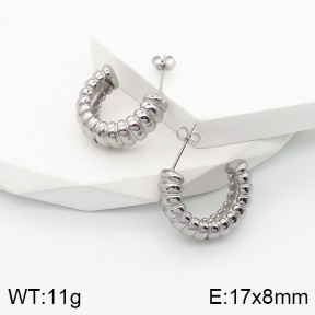 5E2003497bbov-259  Stainless Steel Earrings