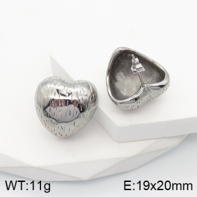 5E2003499bbov-259  Stainless Steel Earrings