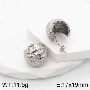 5E2003501bbov-259  Stainless Steel Earrings