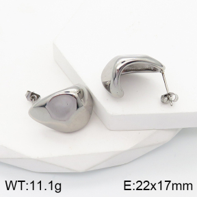 5E2003503bbov-259  Stainless Steel Earrings