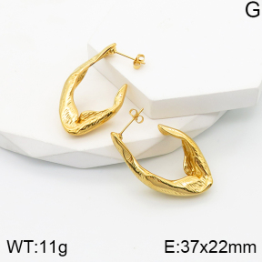 5E2003504bhva-259  Stainless Steel Earrings