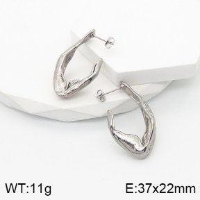5E2003505bbov-259  Stainless Steel Earrings