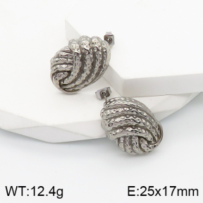 5E2003507bbov-259  Stainless Steel Earrings