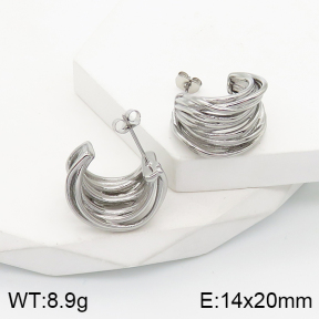 5E2003509bbov-259  Stainless Steel Earrings