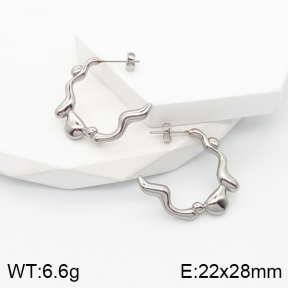 5E2003511bbov-259  Stainless Steel Earrings