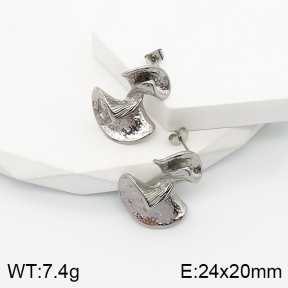 5E2003515bbov-259  Stainless Steel Earrings