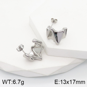 5E2003519vbnb-259  Stainless Steel Earrings