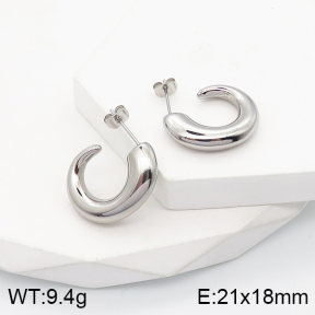 5E2003521vbnb-259  Stainless Steel Earrings