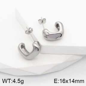 5E2003523vbnb-259  Stainless Steel Earrings