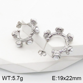 5E3001497bhva-259  Stainless Steel Earrings