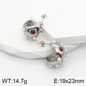 5E3001499bhva-259  Stainless Steel Earrings