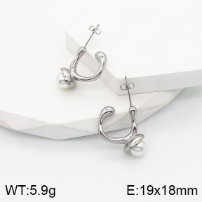 5E3001501bbov-259  Stainless Steel Earrings