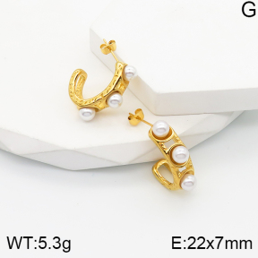 5E3001502bhva-259  Stainless Steel Earrings