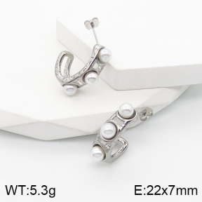 5E3001503bbov-259  Stainless Steel Earrings