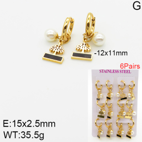 5E3001506vihb-446  Stainless Steel Earrings
