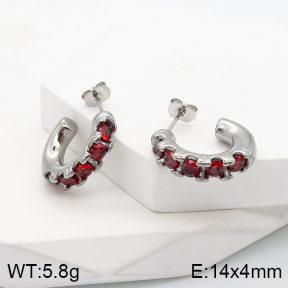 5E4002768bhva-259  Stainless Steel Earrings