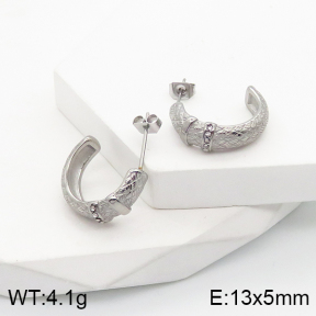 5E4002770bbov-259  Stainless Steel Earrings