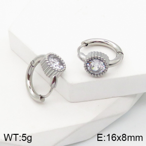 5E4002772bbov-259  Stainless Steel Earrings
