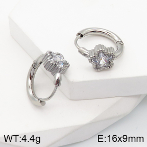 5E4002774bbov-259  Stainless Steel Earrings