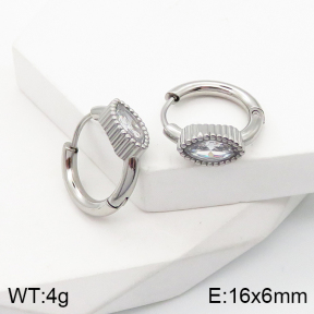5E4002776bbov-259  Stainless Steel Earrings