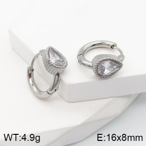5E4002778bbov-259  Stainless Steel Earrings