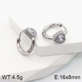 5E4002780bbov-259  Stainless Steel Earrings